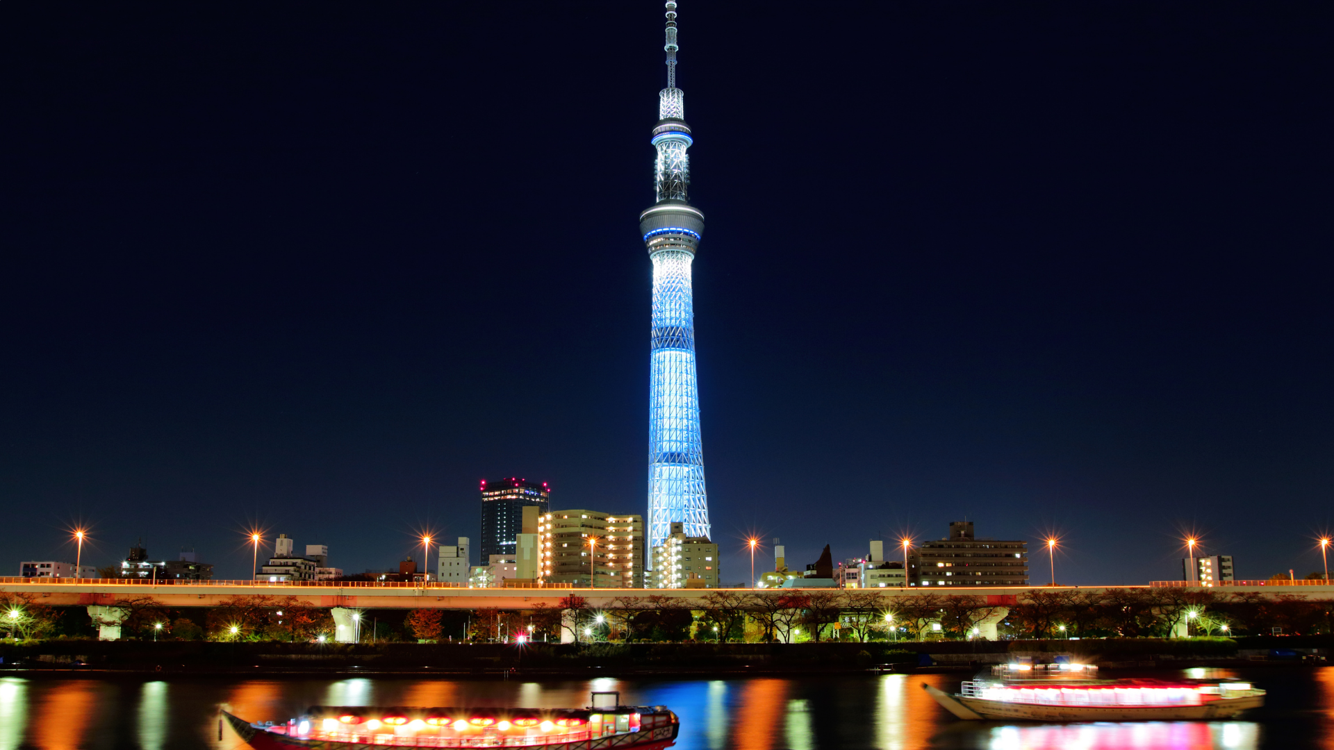 Crucero con cena tradicional japonesa Yakatabune por la bahía de Tokio