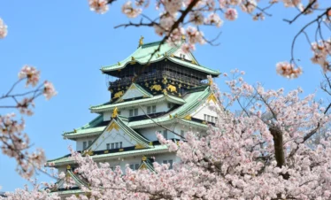 Castillo de Osaka con Cerezos