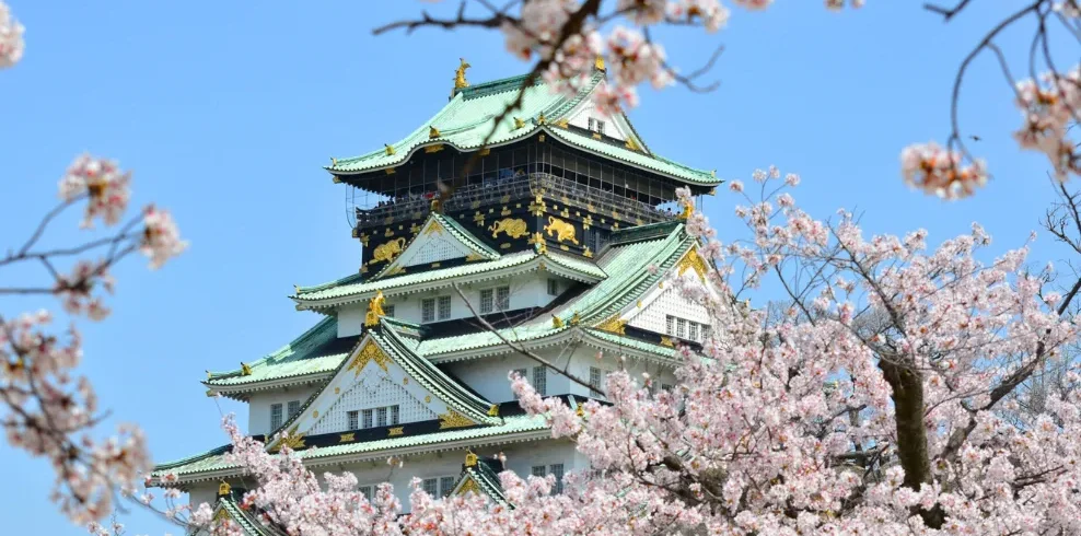 Castillo de Osaka con Cerezos