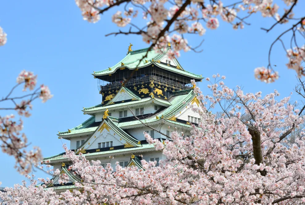Castillo de Osaka con Cerezos
