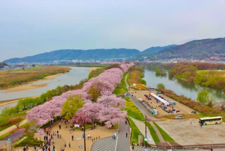 Parque del Río Yodo en el distrito de Sawaritei