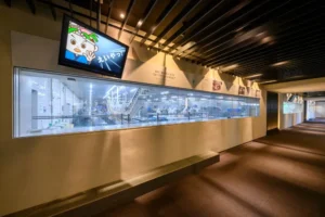 MuseoGenMasu-no-Sushi