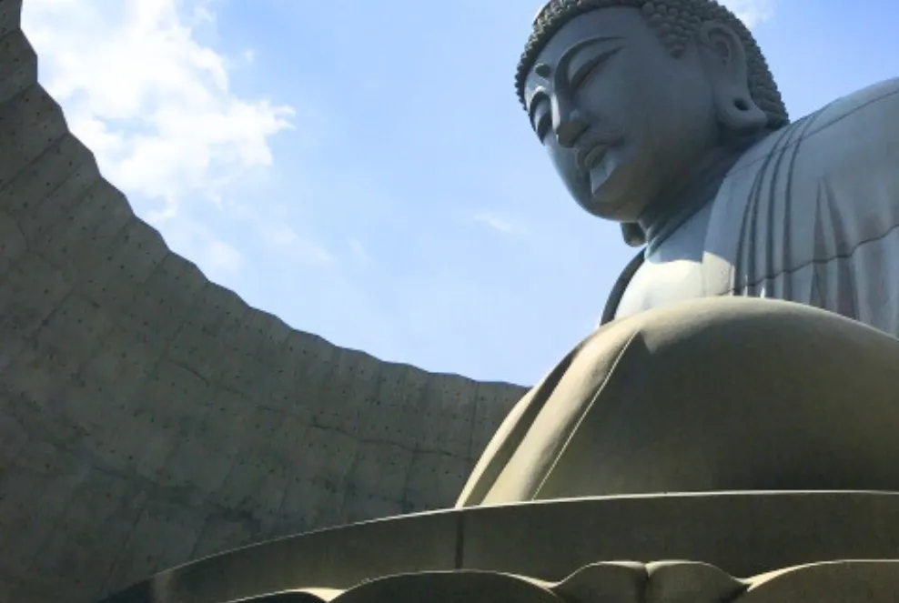 頭大仏殿　安藤忠雄
