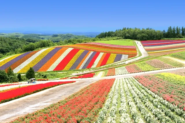 Hokkaido