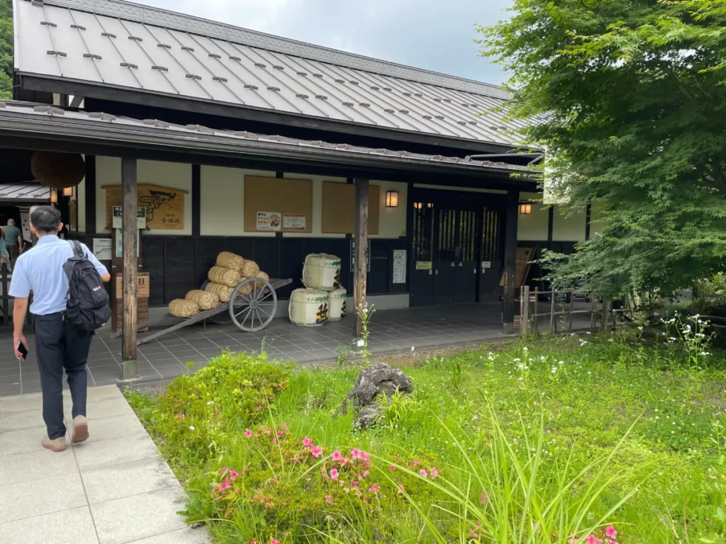 Fuji Hakone 1 día