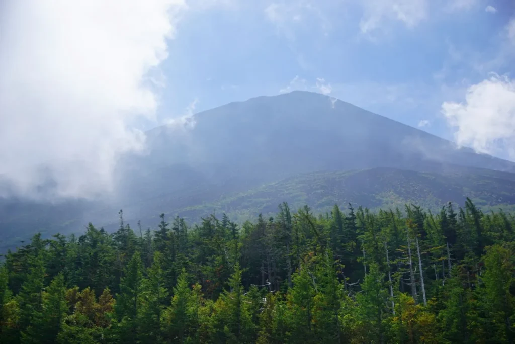 Fuji san 2