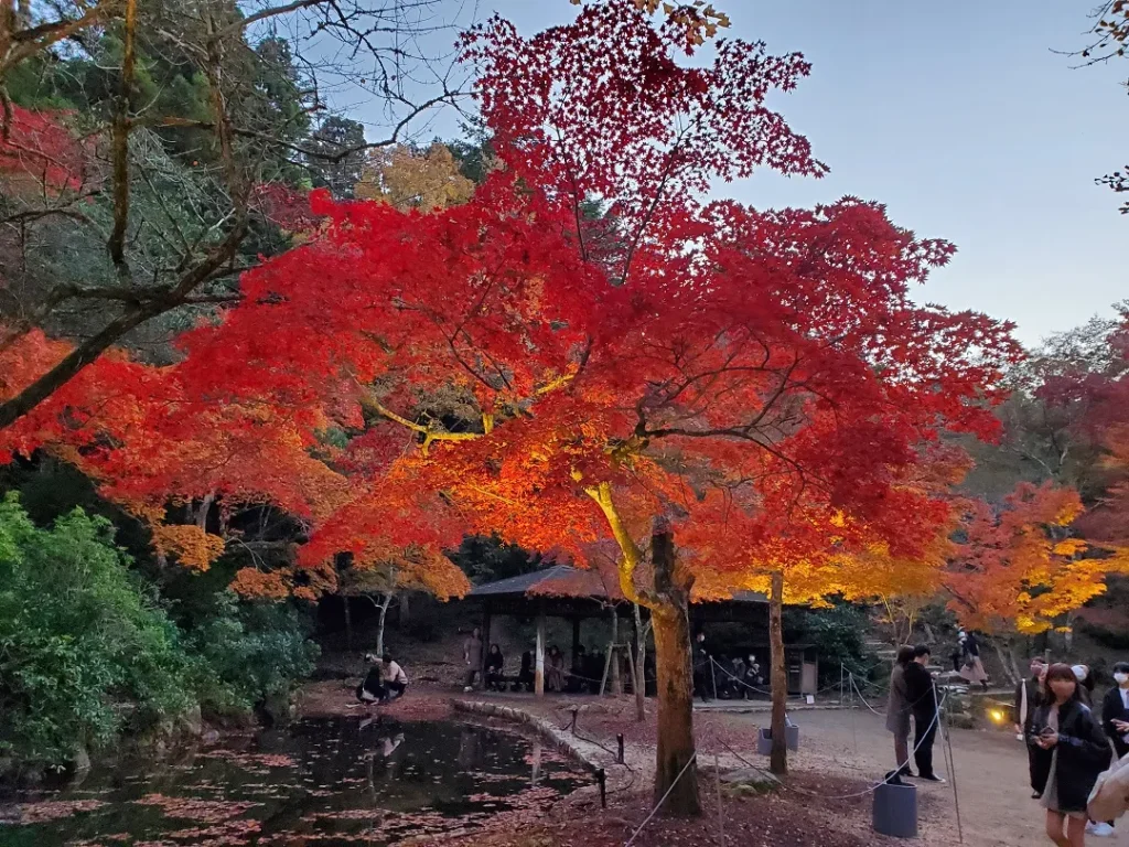 HIROSHIMA