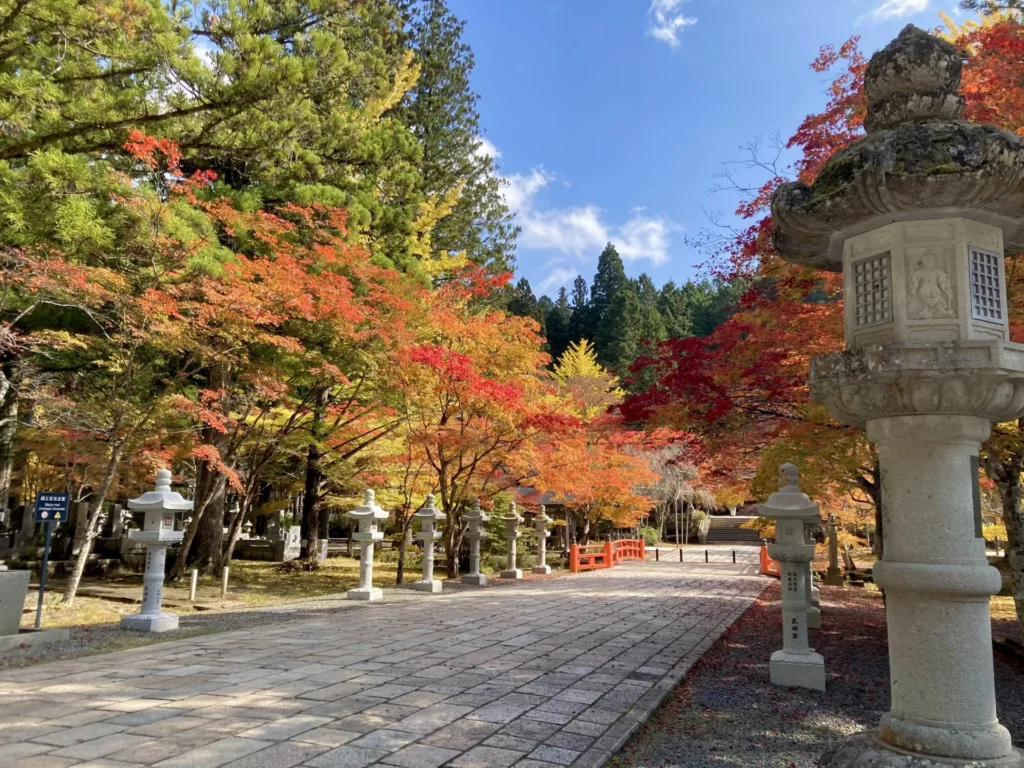 MT KOYA1