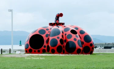 Excursión Privada de 1 día por Naoshima desde Osaka