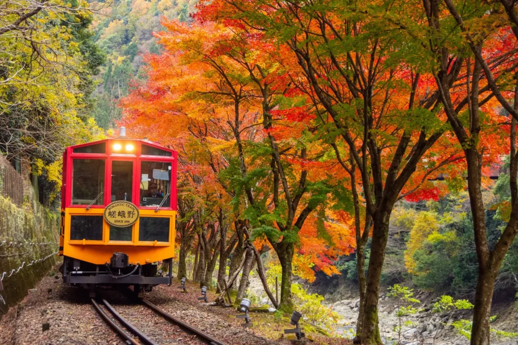 Romantic Train Sagano 1