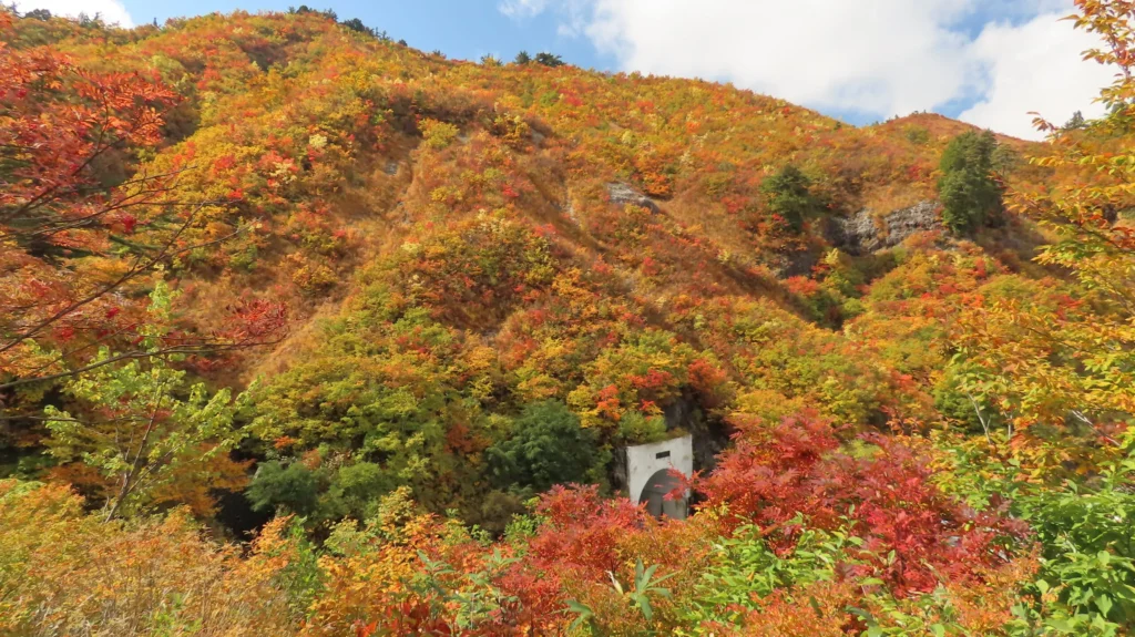 SHIRAKAWAGO 2