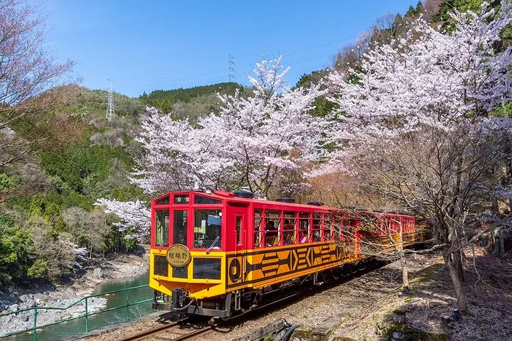 Sagano Tren