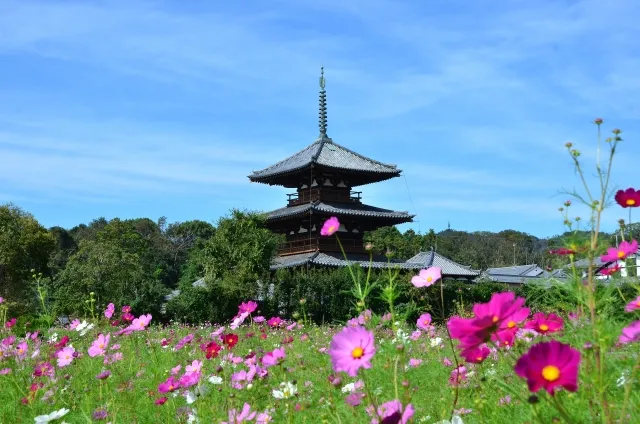 Área de Horyu-ji