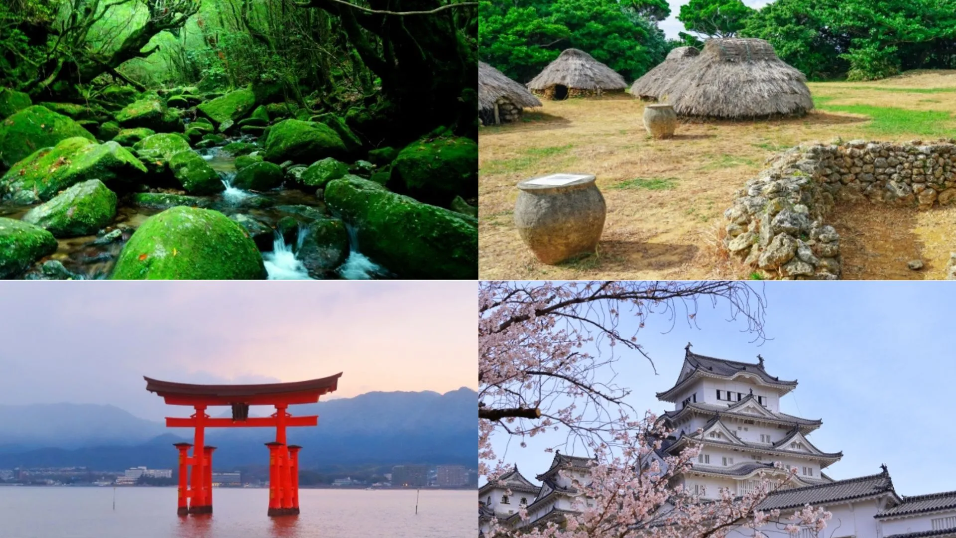 Tour Japón