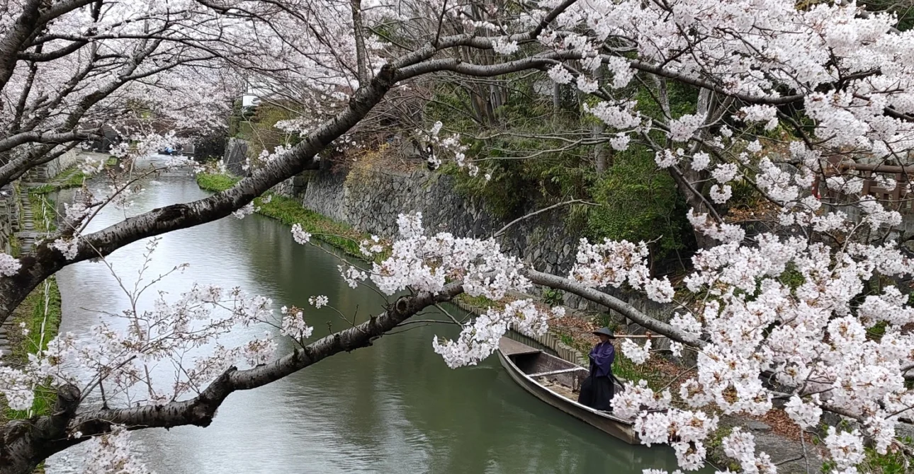 Mejores Temporadas para visitar en Japon