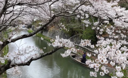 Mejores Temporadas para visitar en Japon