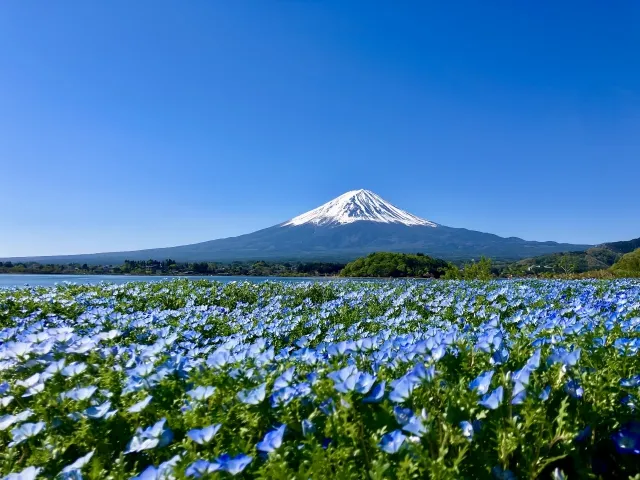 Japón, el destino perfecto para un viaje romántico en pareja