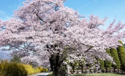 Destinos en Primavera