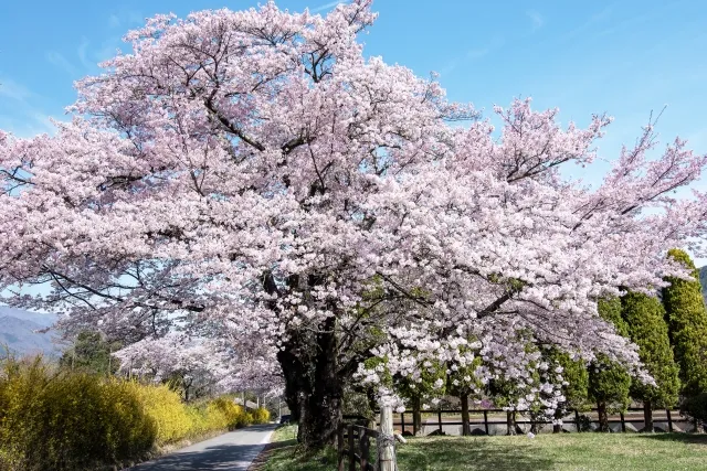 Destinos en Primavera