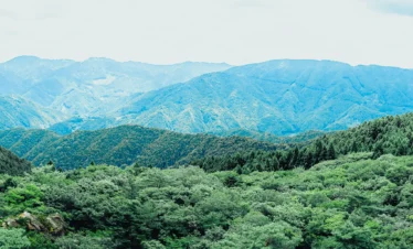 Travesía Espiritual Zen – Tokushima, Shikoku