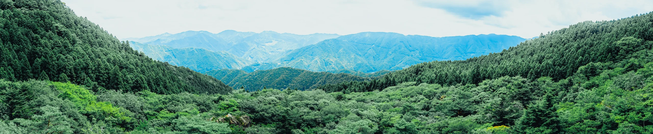 Travesía Espiritual Zen – Tokushima, Shikoku