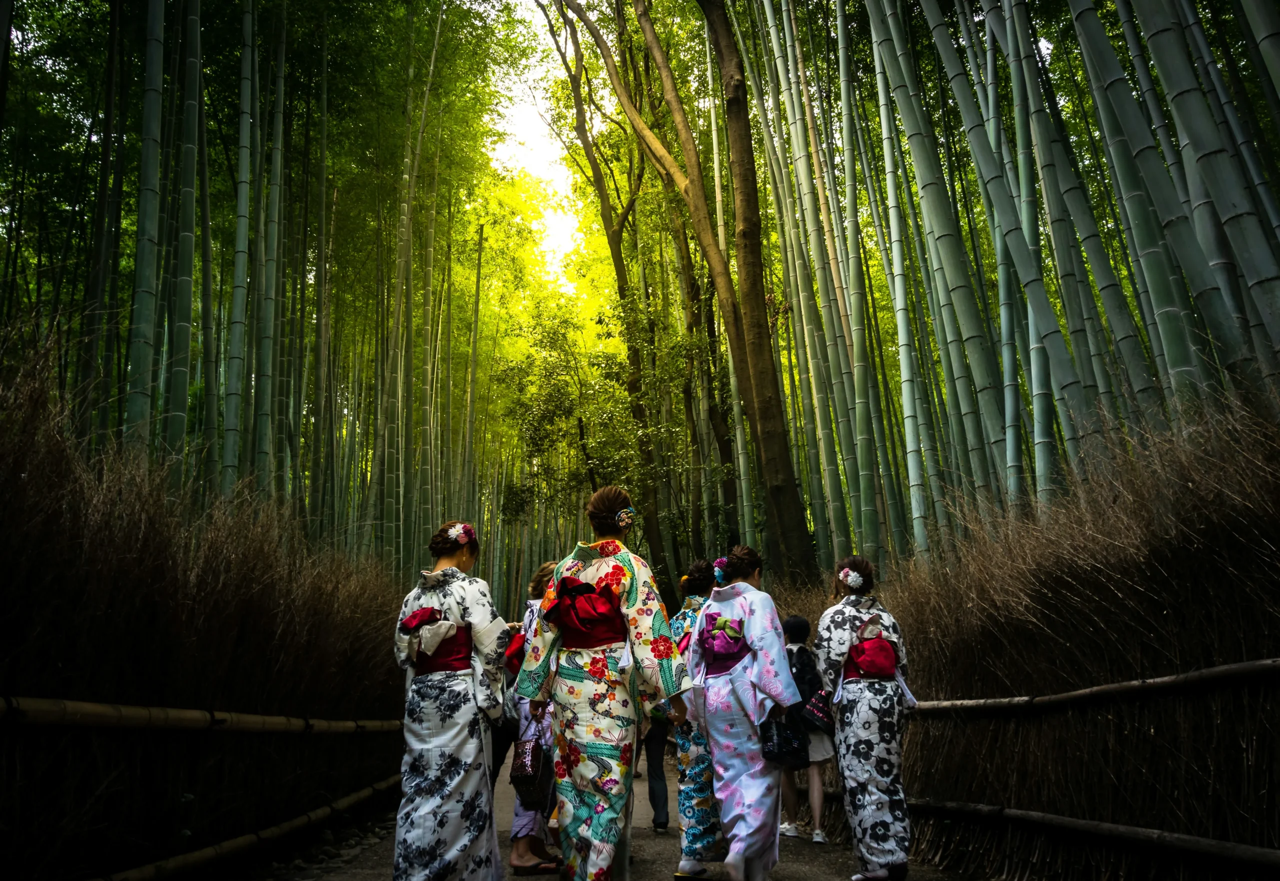 Kyoto Arashiyama Bamboo