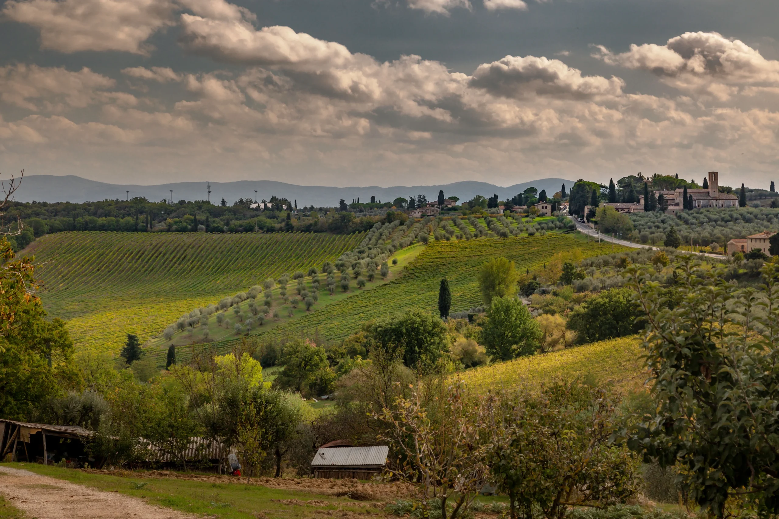Viñedos Chianti Classico