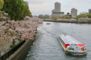 Osaka Aqua Liner Sakura crucero