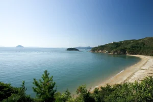 NAOSHIMA 1