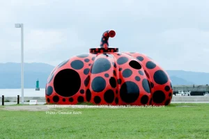 NAOSHIMA (1)