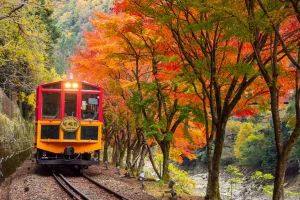 Romantic Train Sagano 1