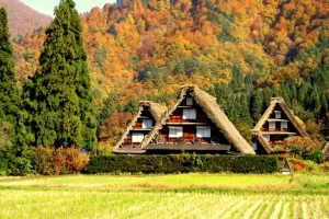 SHIRAKAWAGO 3